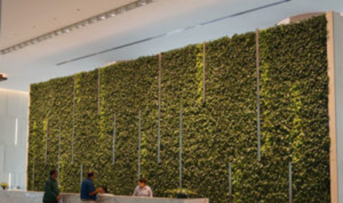 Vertical Garden Installations for Offices: The ROI of Green Walls