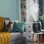 home humidifiers