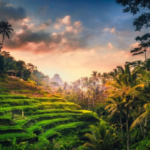 plan your Bali trip on Traveloka