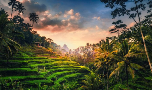 plan your Bali trip on Traveloka